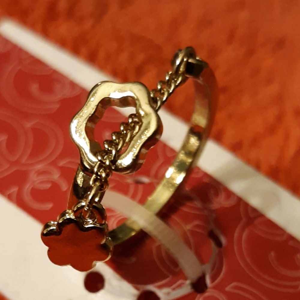 Ashley Stewart ring